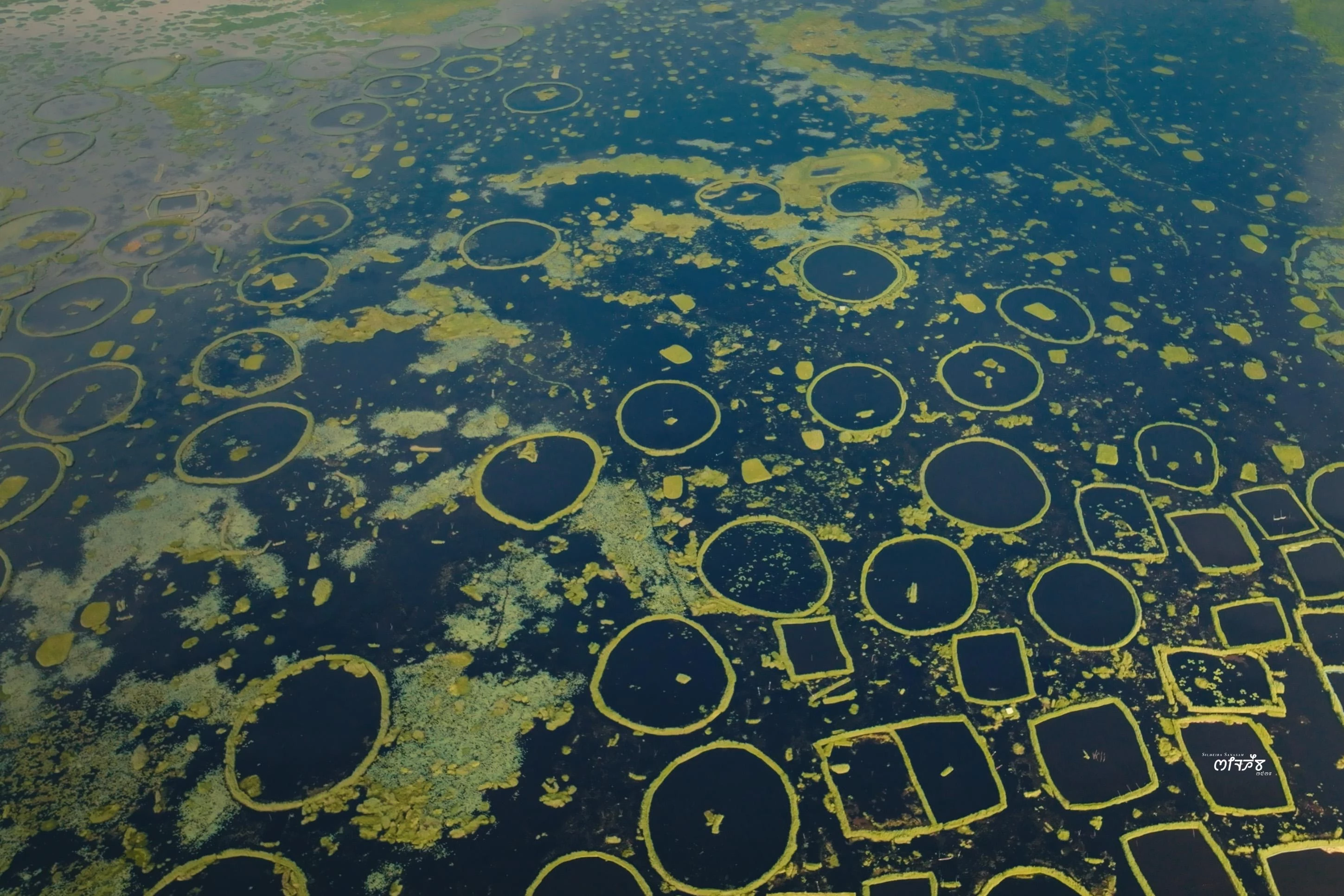 Places to visit in Manipur – Loktak Lake and Imphal events